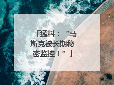 猛料：“马斯克被长期秘密监控！”