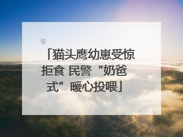 猫头鹰幼崽受惊拒食 民警“奶爸式”暖心投喂