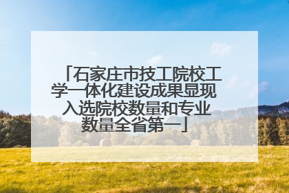 石家庄市技工院校工学一体化建设成果显现 入选院校数量和专业数量全省第一