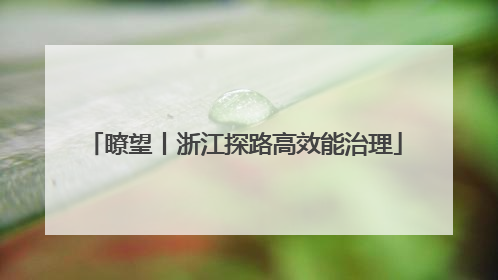 瞭望丨浙江探路高效能治理