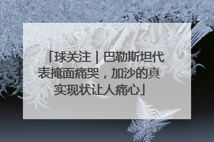 球关注｜巴勒斯坦代表掩面痛哭，加沙的真实现状让人痛心