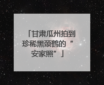 甘肃瓜州拍到珍稀黑颈鹤的“安家照”