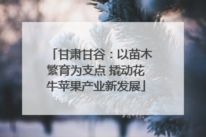 甘肃甘谷：以苗木繁育为支点 撬动花牛苹果产业新发展