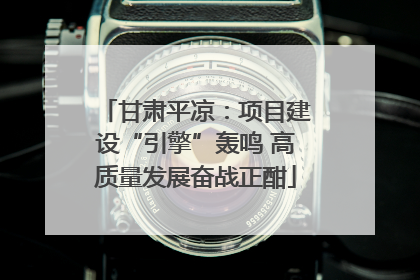 甘肃平凉：项目建设“引擎”轰鸣 高质量发展奋战正酣