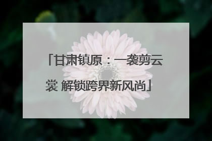 甘肃镇原：一袭剪云裳 解锁跨界新风尚