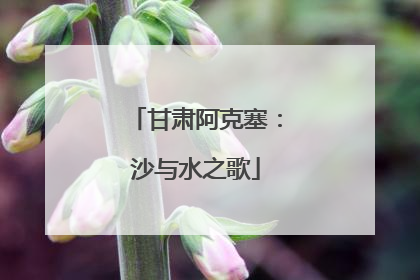 甘肃阿克塞：沙与水之歌