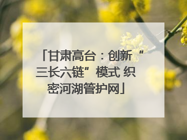 甘肃高台：创新“三长六链”模式 织密河湖管护网