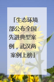 生态环境部公布全国先进典型案例，武汉两案例上榜