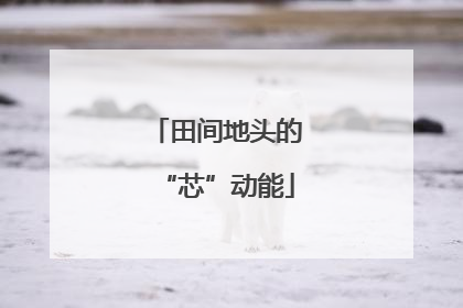 田间地头的“芯”动能