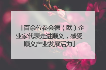 百余位参会德（欧）企业家代表走进顺义，感受顺义产业发展活力