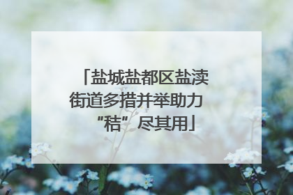 盐城盐都区盐渎街道多措并举助力“秸”尽其用