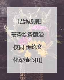 盐城射阳：囊香粽香飘溢校园 传统文化深植心田