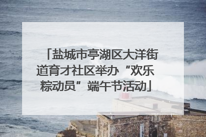 盐城市亭湖区大洋街道育才社区举办“欢乐粽动员”端午节活动