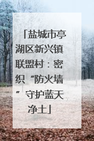盐城市亭湖区新兴镇联盟村：密织“防火墙”守护蓝天净土