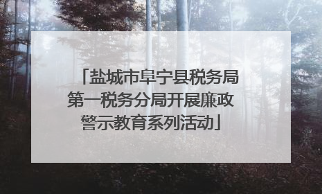 盐城市阜宁县税务局第一税务分局开展廉政警示教育系列活动