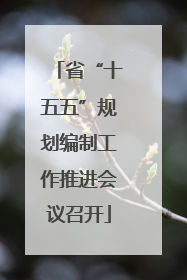 省“十五五”规划编制工作推进会议召开