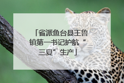 省派鱼台县王鲁镇第一书记护航“三夏”生产