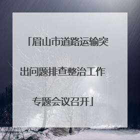 眉山市道路运输突出问题排查整治工作专题会议召开