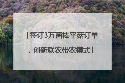 签订3万菌棒平菇订单，创新联农带农模式
