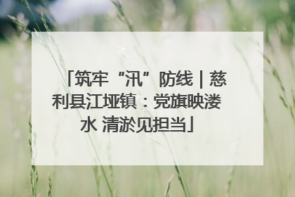 筑牢“汛”防线｜慈利县江垭镇：党旗映溇水 清淤见担当