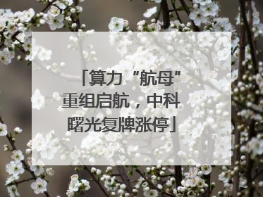 算力“航母”重组启航，中科曙光复牌涨停