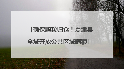 确保颗粒归仓！夏津县全域开放公共区域晒粮