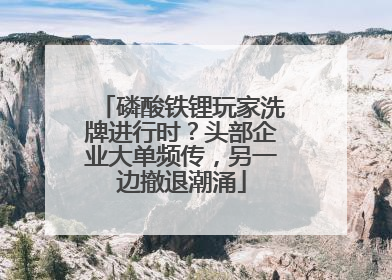 磷酸铁锂玩家洗牌进行时？头部企业大单频传，另一边撤退潮涌