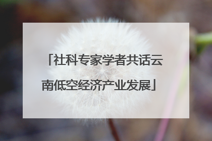 社科专家学者共话云南低空经济产业发展