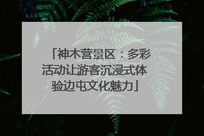 神木营景区：多彩活动让游客沉浸式体验边屯文化魅力