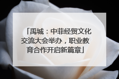 禹城：中菲经贸文化交流大会举办，职业教育合作开启新篇章