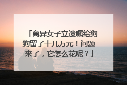 离异女子立遗嘱给狗狗留了十几万元！问题来了，它怎么花呢？