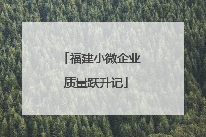 福建小微企业质量跃升记