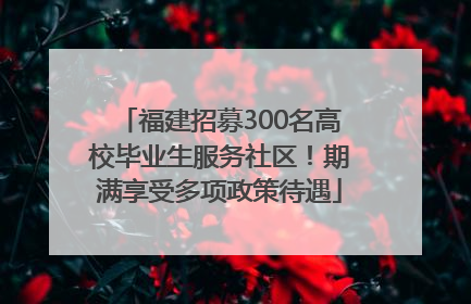 福建招募300名高校毕业生服务社区！期满享受多项政策待遇