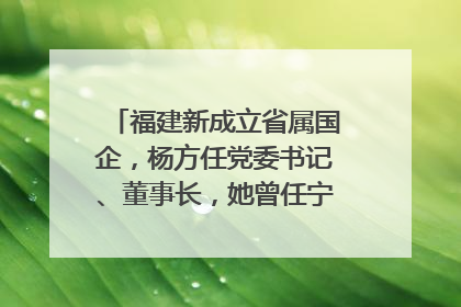 福建新成立省属国企，杨方任党委书记、董事长，她曾任宁德市委副书记｜张田怡已任县委副书记、县政府党组书记