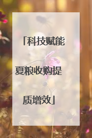 科技赋能夏粮收购提质增效