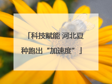 科技赋能 河北夏种跑出“加速度”