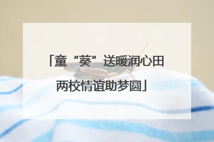 童“葵”送暖润心田 两校情谊助梦圆