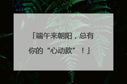 端午来朝阳，总有你的“心动款”！