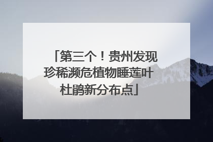 第三个！贵州发现珍稀濒危植物睡莲叶杜鹃新分布点