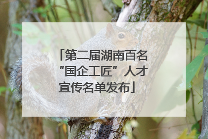 第二届湖南百名“国企工匠”人才宣传名单发布