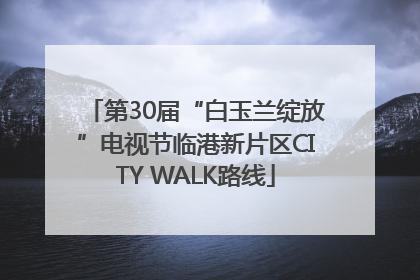 第30届“白玉兰绽放”电视节临港新片区CITY WALK路线