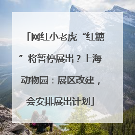 网红小老虎“红糖”将暂停展出？上海动物园：展区改建，会安排展出计划