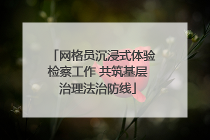 网格员沉浸式体验检察工作 共筑基层治理法治防线