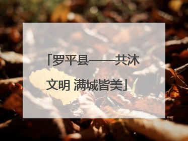 罗平县——共沐文明 满城皆美