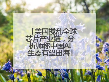 美国搅乱全球芯片产业链，分析师称中国AI生态有望出海