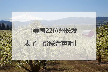 美国22位州长发表了一份联合声明