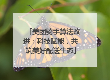 美团骑手算法改进：科技赋能，共筑美好配送生态
