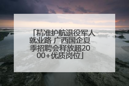 精准护航退役军人就业路 广西国企夏季招聘会释放超2000+优质岗位