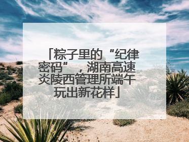 粽子里的“纪律密码”，湖南高速炎陵西管理所端午玩出新花样