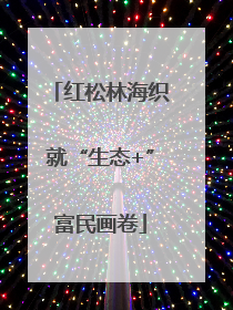 红松林海织就“生态+”富民画卷